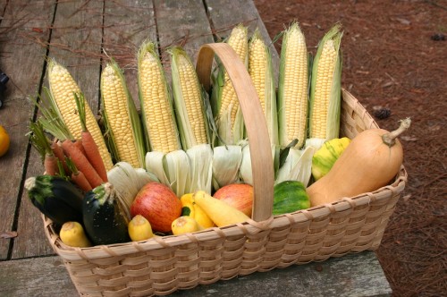 basket of vegetables