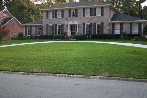 fescue