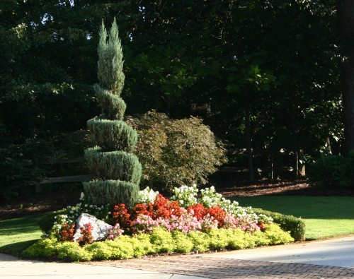 flower bed tall and short 3