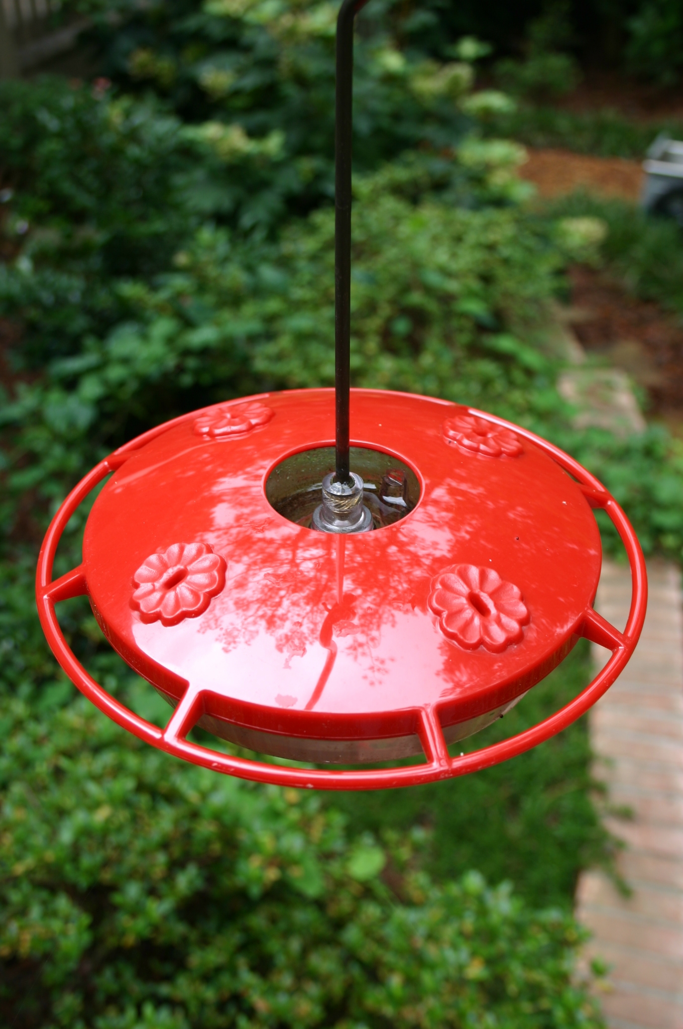 Hummingbird Feeder – Bee and Wasp Control | Walter Reeves: The Georgia