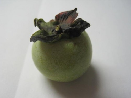 persimmon 4