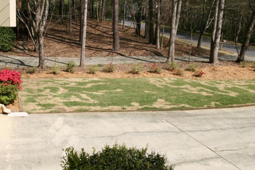 roundup damage