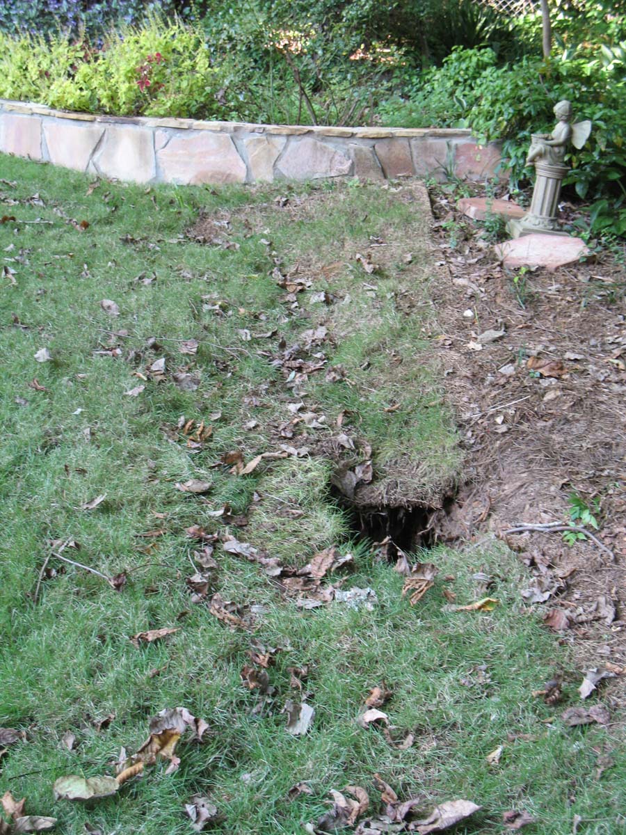 Sinkhole Repairing Walter Reeves The Gardener