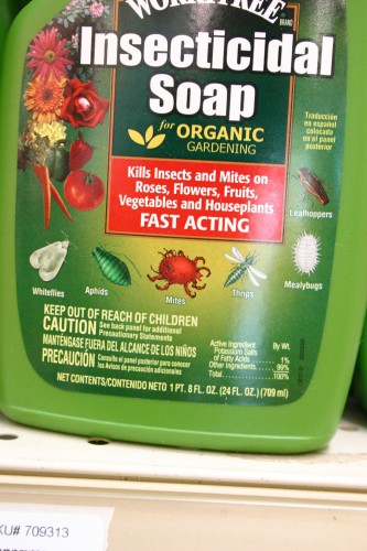 insecticidal soap