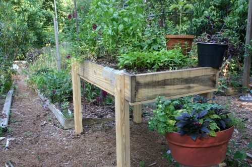 really raised bed 2