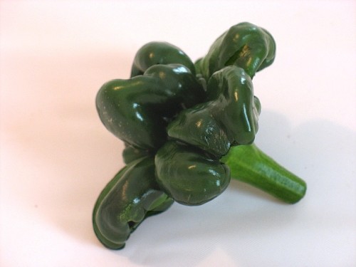 pepper fused 1
