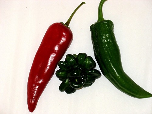 pepper fused 2