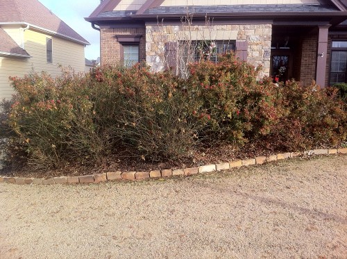 photo (6)
