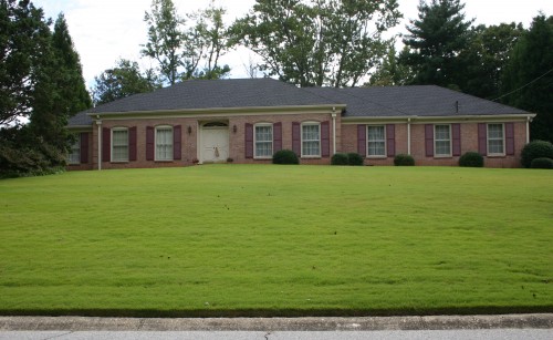 zoysia lawn 3