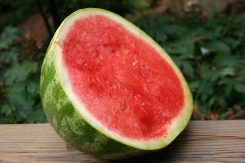watermelon 1
