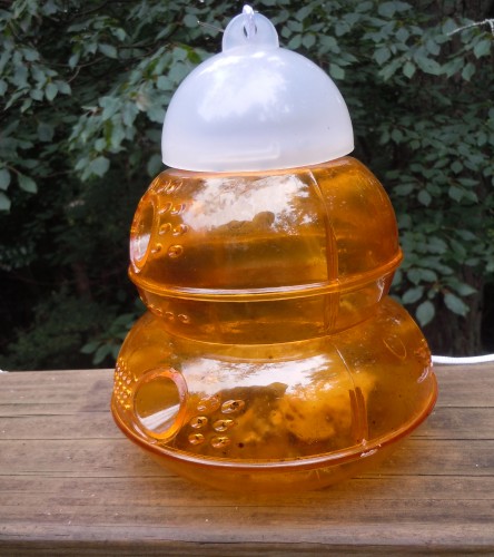 DSCN1938 Pic WTRP Yellow Jacket Trap (available at ALDI supermarkets and Amazon)