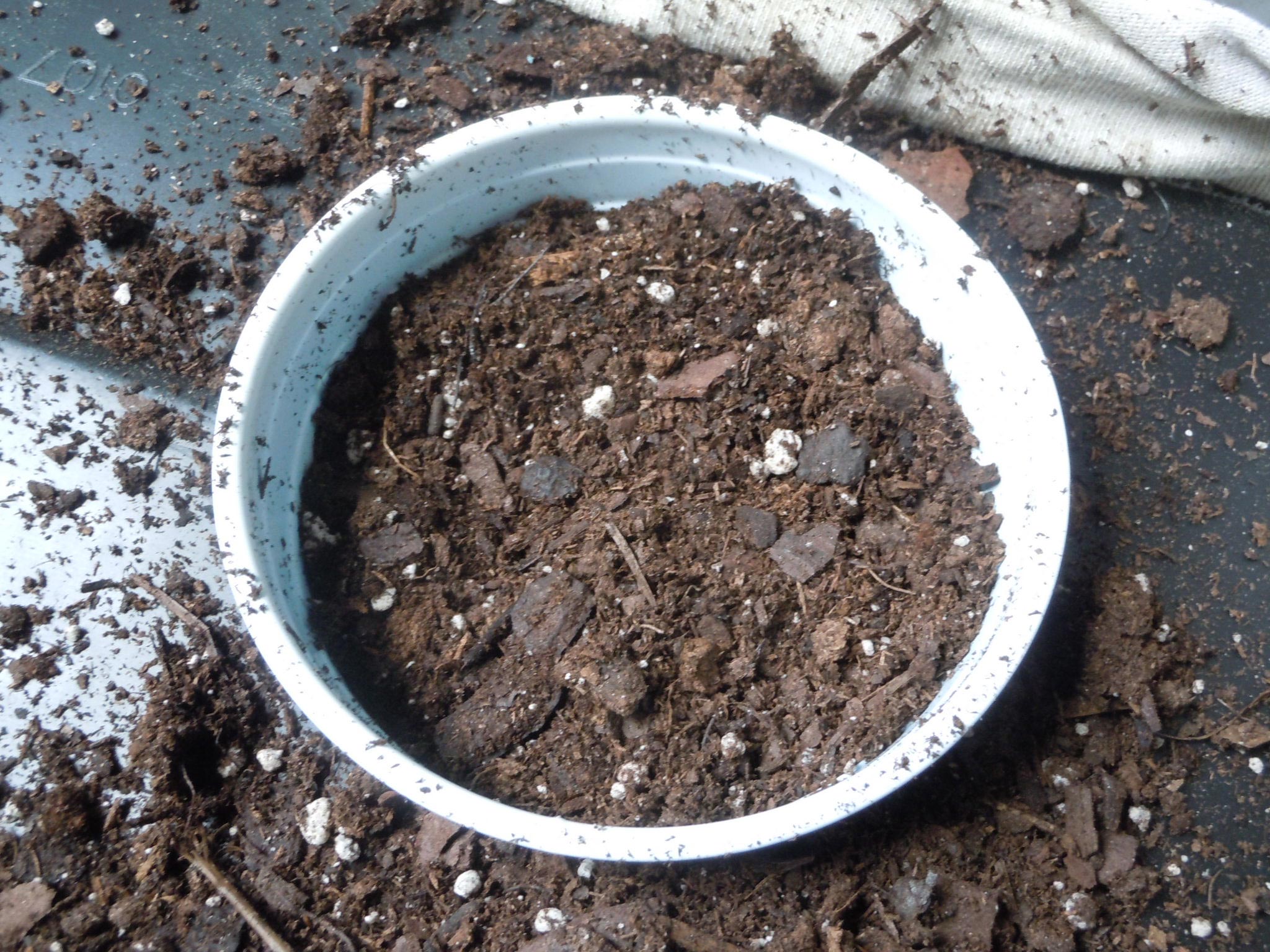 SelfWatering Planter Walter Reeves The Gardener