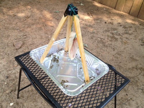 yellowjacket trap yellowjacket trap
