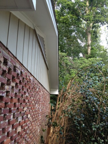 squirrel access 11
