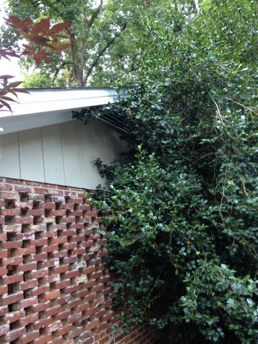 squirrel access 3
