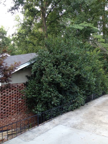 squirrel access 4