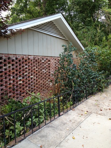 squirrel access 9