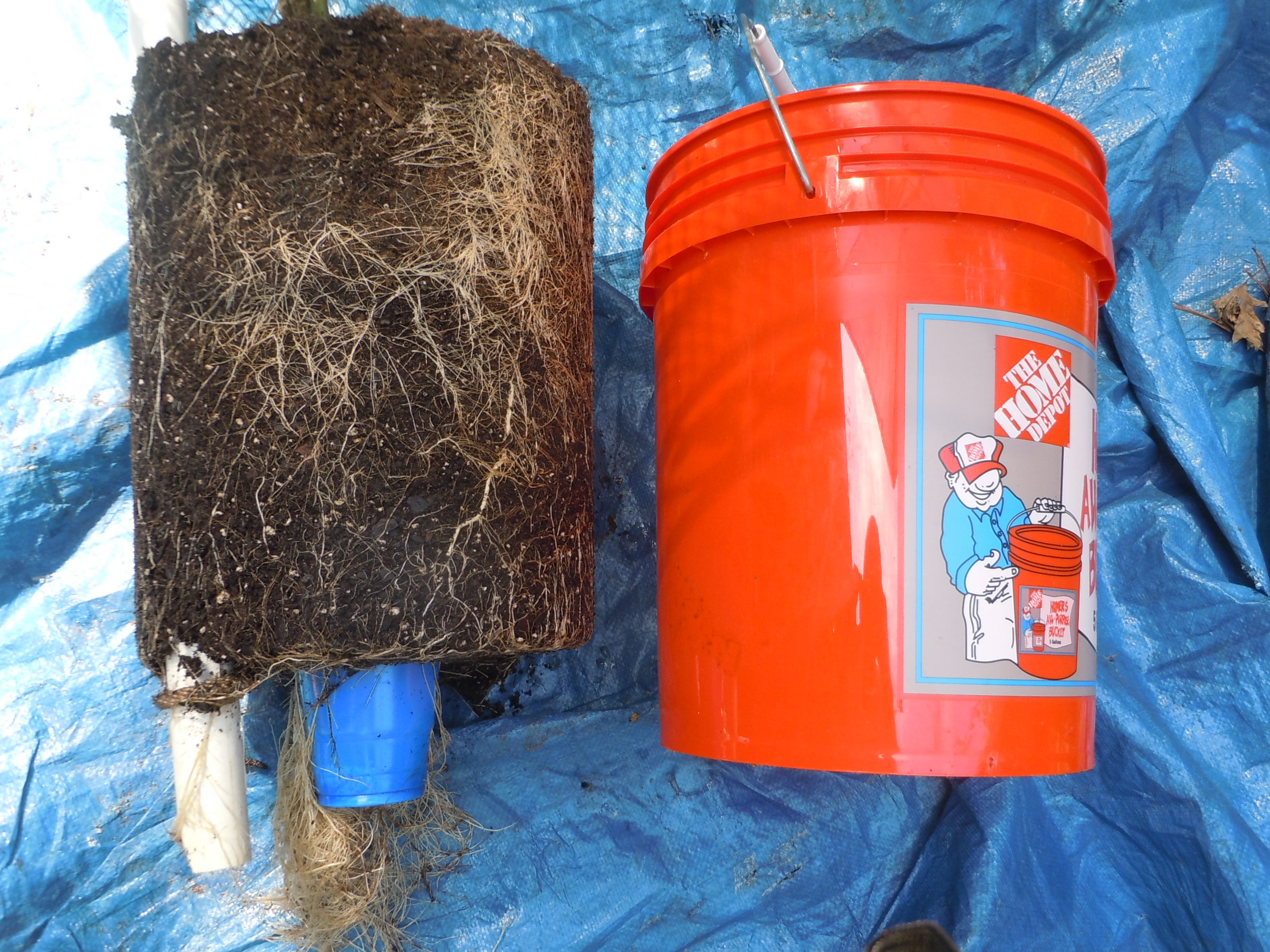SelfWatering Bucket Garden Walter Reeves The Gardener