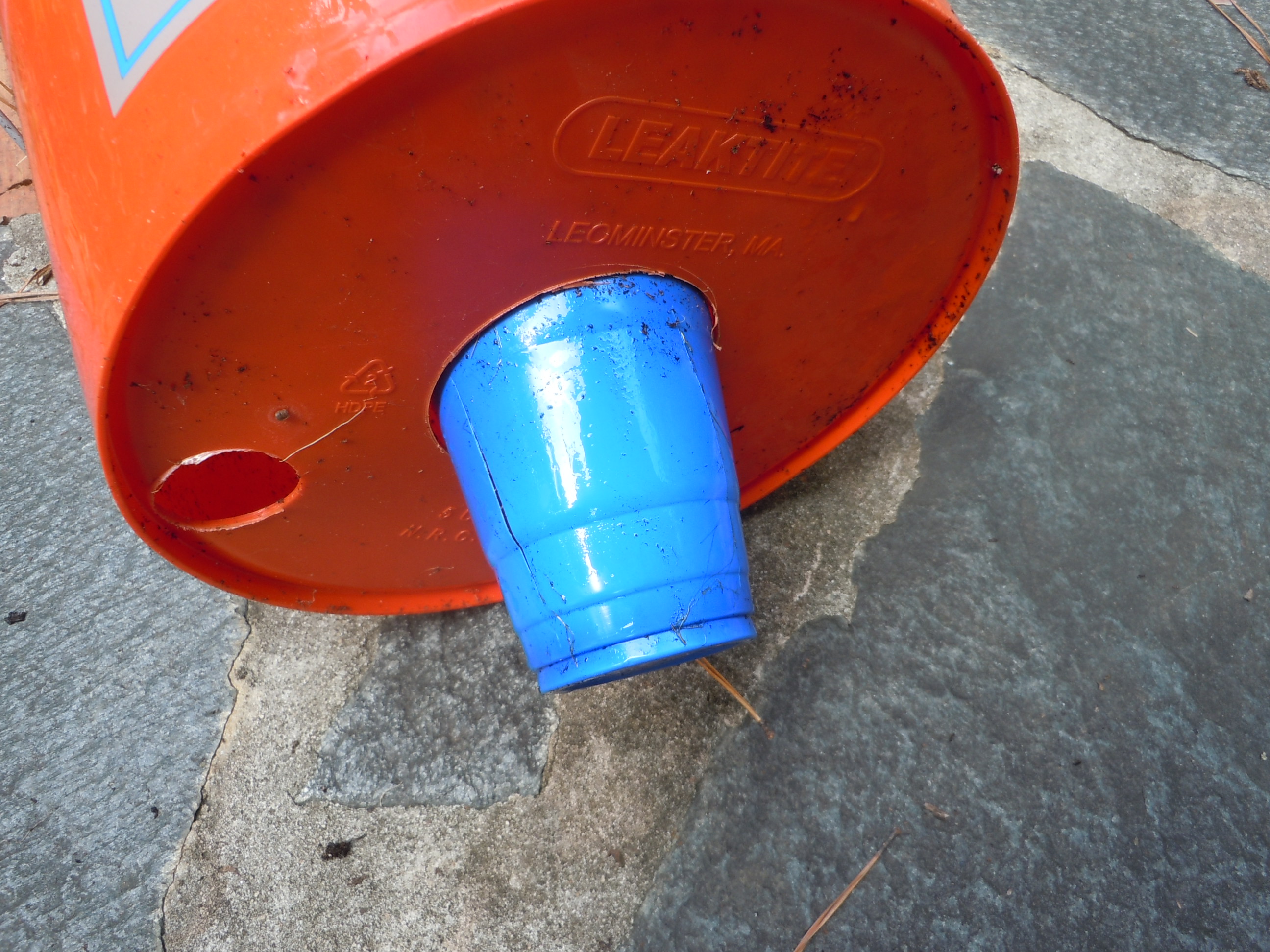 SelfWatering Bucket Garden Walter Reeves The Gardener