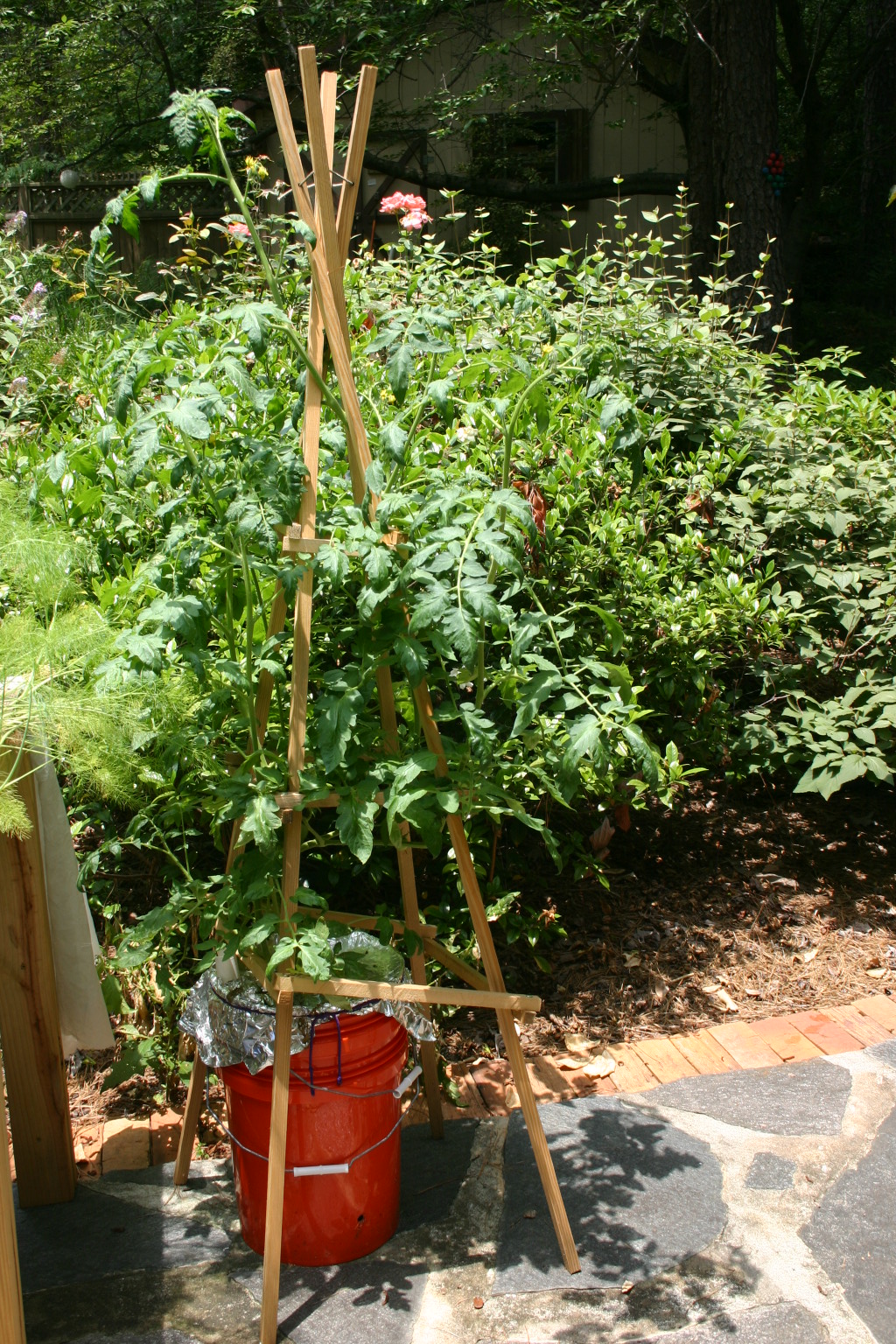 SelfWatering Bucket Garden Walter Reeves The Gardener