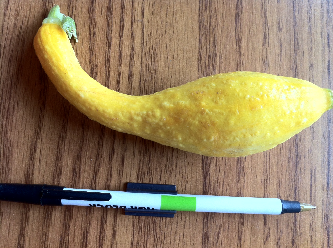 Squash Bumpy Skin Walter Reeves The Gardener