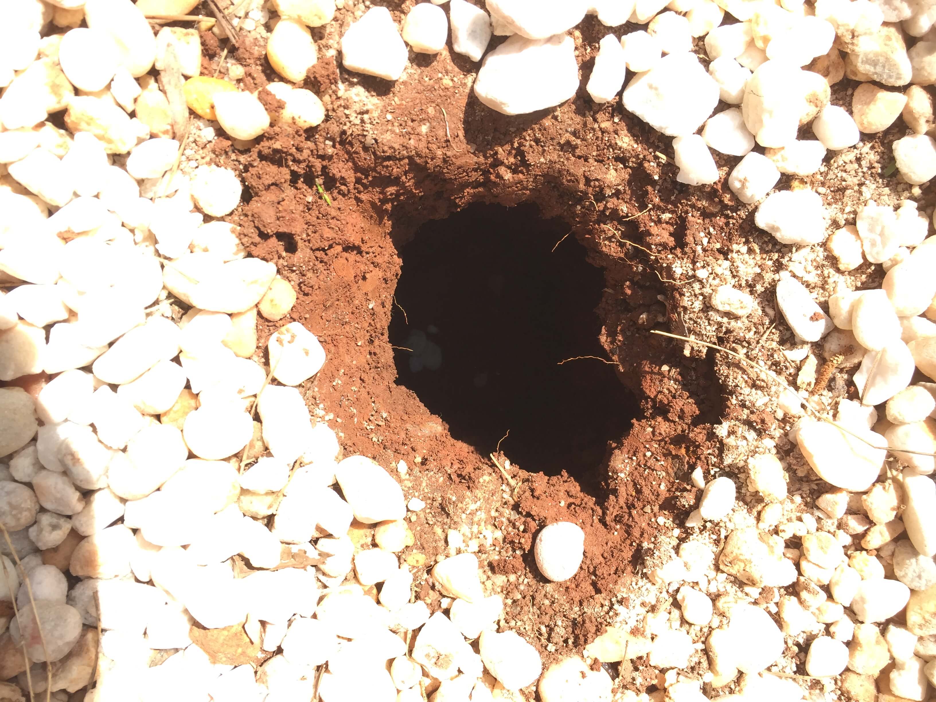 Hole in Ground No Earth Piled Nearby Walter Reeves The