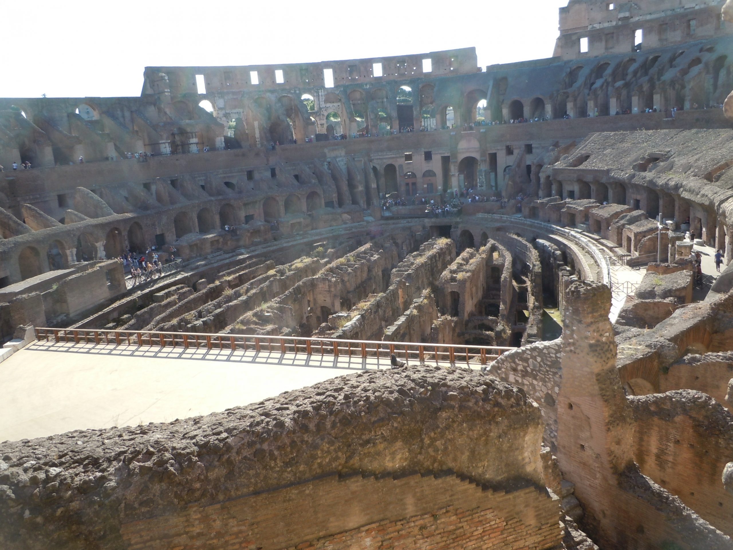 the Colosseum could hold between 50,000 and 80,000 spectators