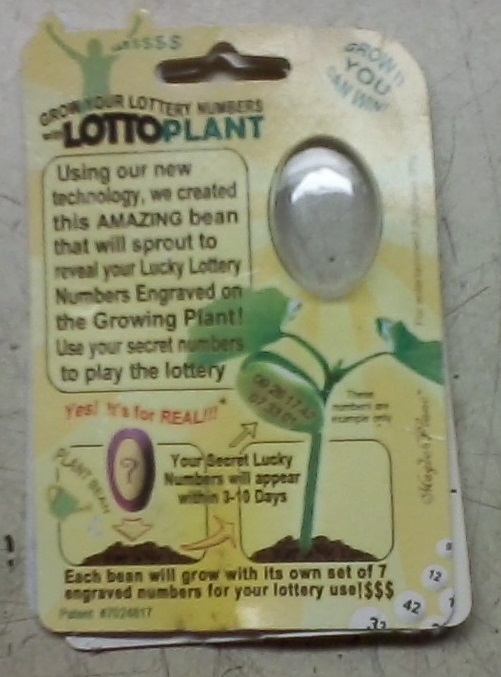 Lotto plant 1