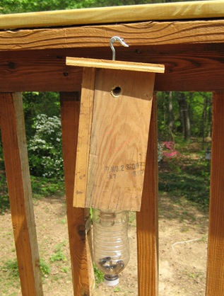 carpenter bee trap
