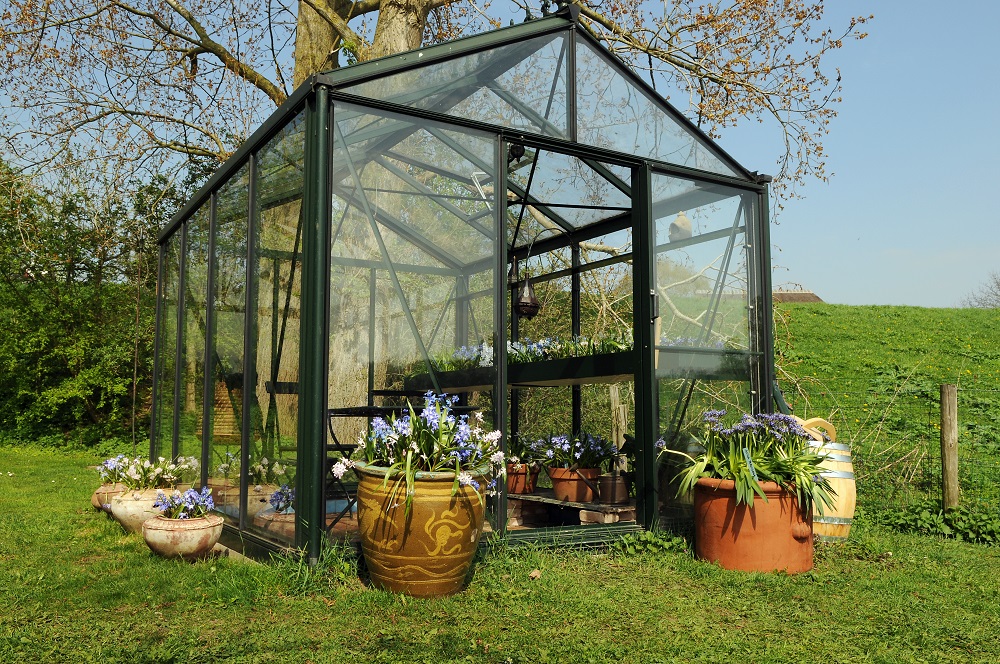 greenhouse 5