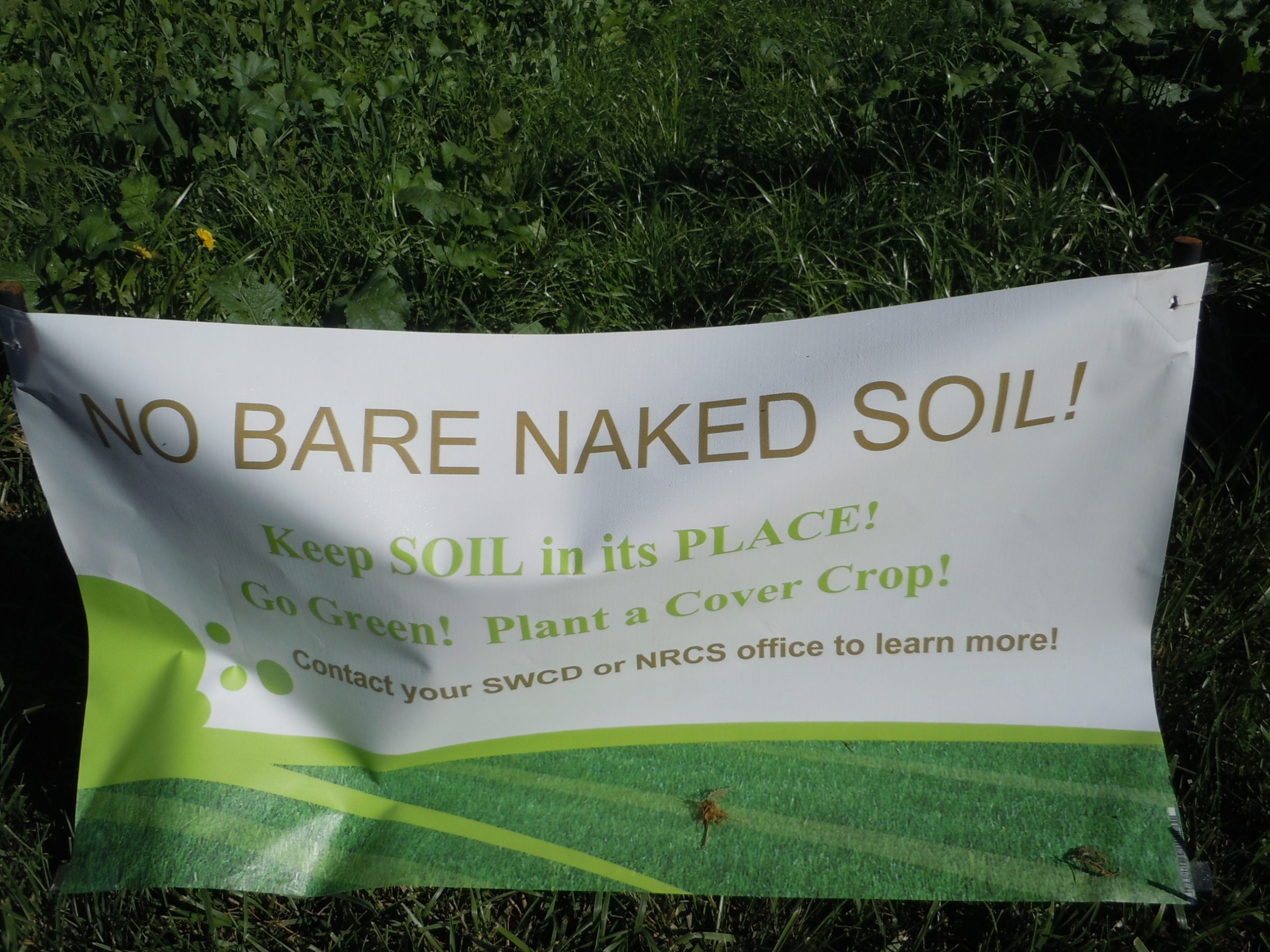 no bare naked soil