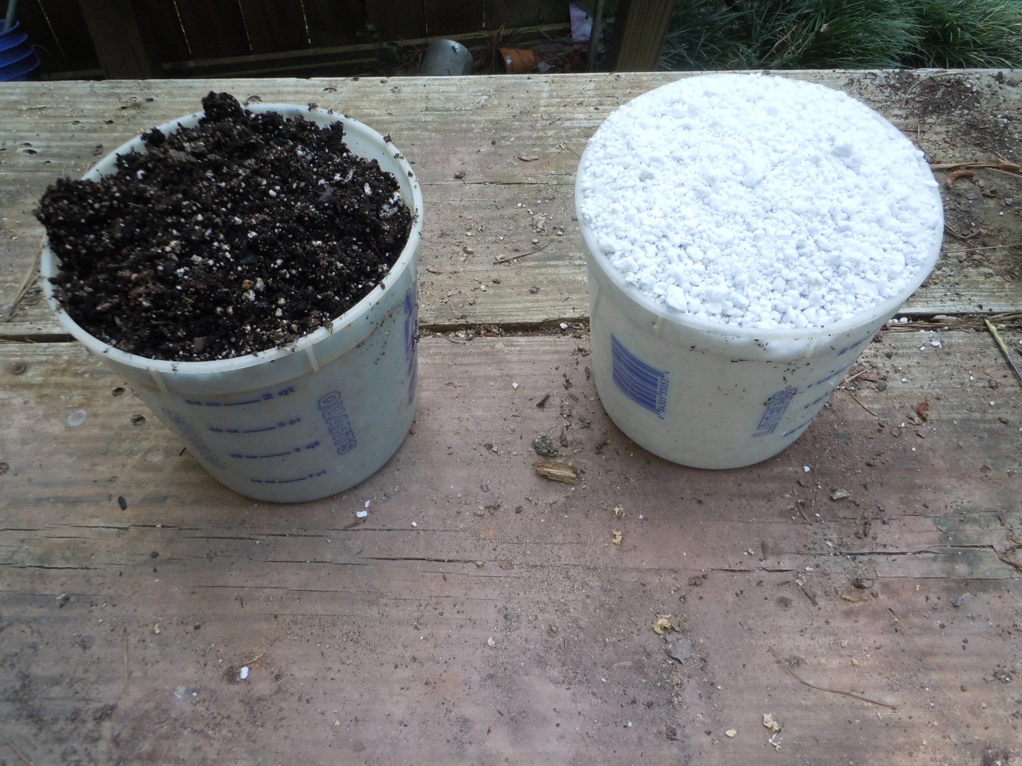 mix propagation media: 1 to 1 potting soil and perlite