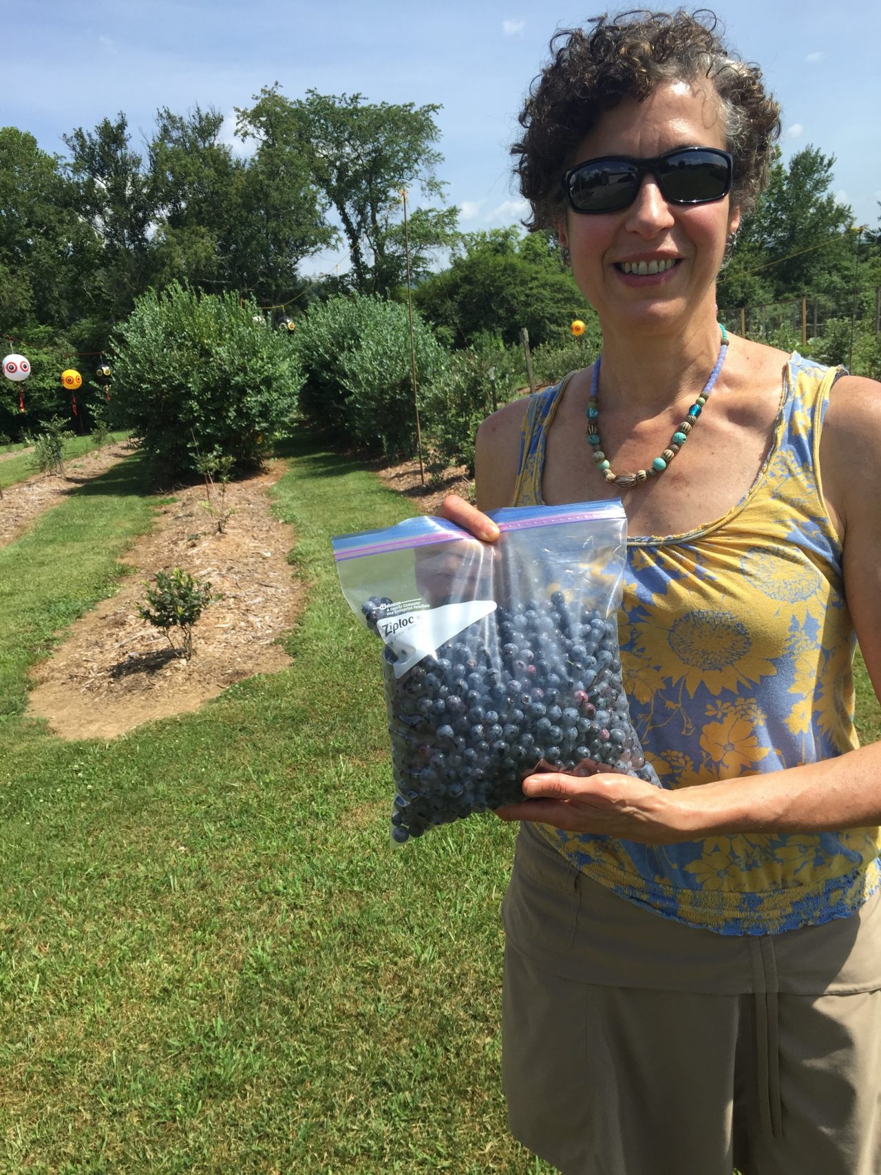 Lawn Care Calendar (Calendars) and Factsheets | Walter Reeves: The