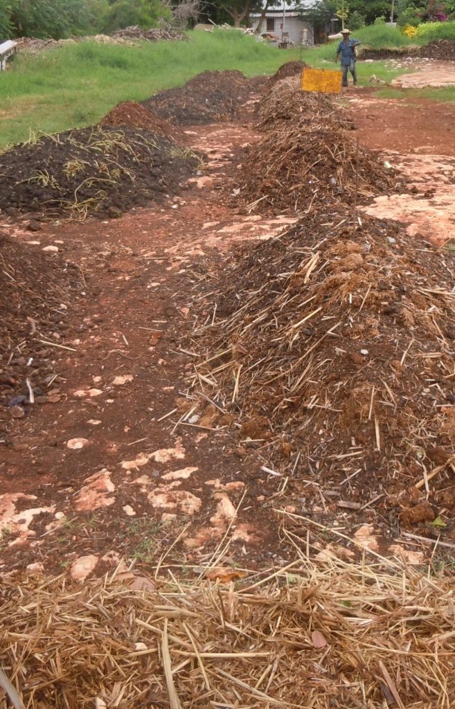 compost Cuba | Walter Reeves: The Georgia Gardener