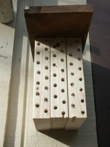 mason3 | Walter Reeves: The Georgia Gardener