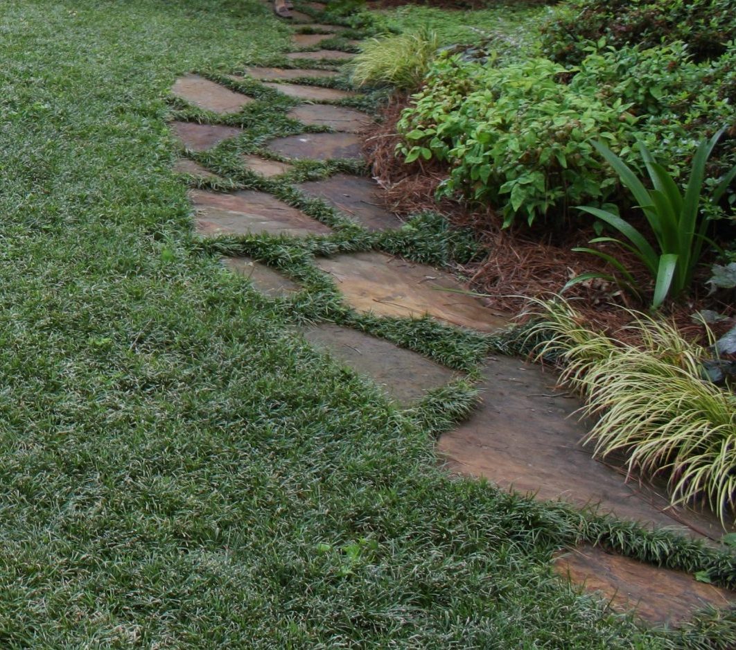 Best Time To Plant Dwarf Mondo Grass? | Walter Reeves: The Georgia Gardener, image size:1062x938