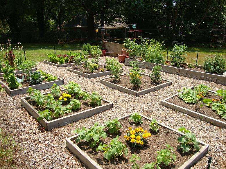 Urban Garden Rules – City of Atlanta | Walter Reeves: The Georgia Gardener