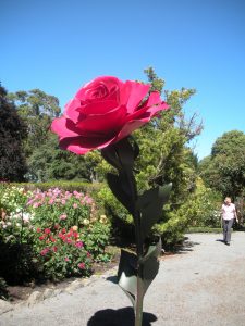 DSCN1191 | Walter Reeves: The Georgia Gardener