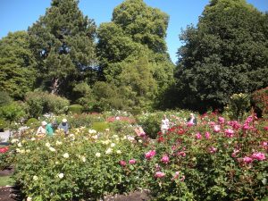 DSCN1197 | Walter Reeves: The Georgia Gardener