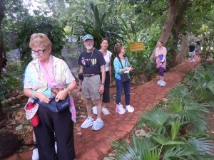DSCN3155 | Walter Reeves: The Georgia Gardener