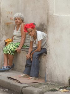 DSCN3206 | Walter Reeves: The Georgia Gardener