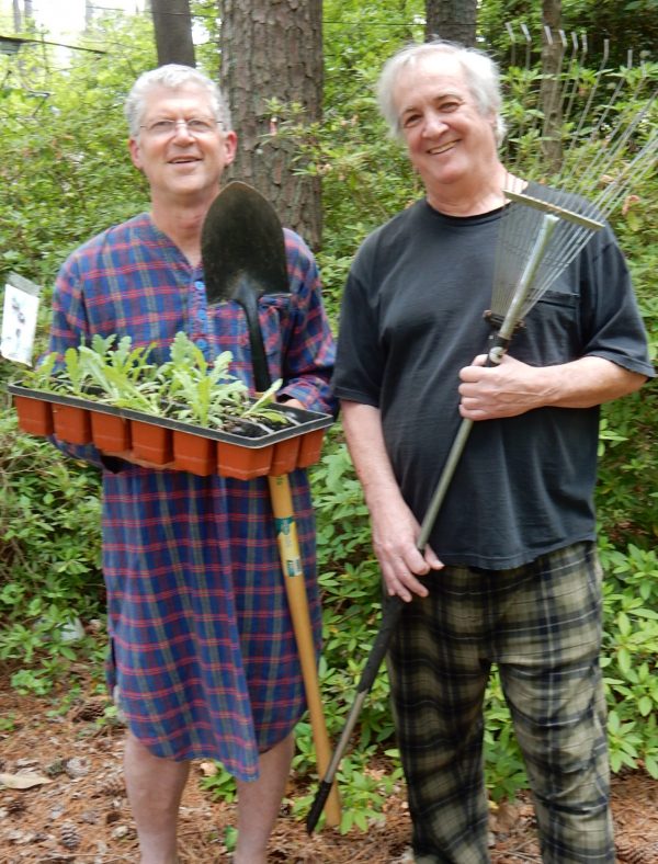 How To Accelerate New Grass Growing Into Old Grass? Walter Reeves