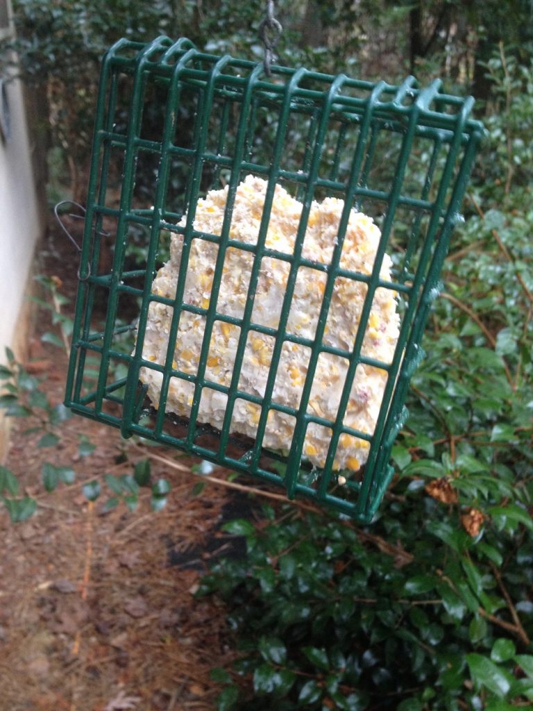 How to Make Homemade Bird Suet Walter Reeves The Gardener