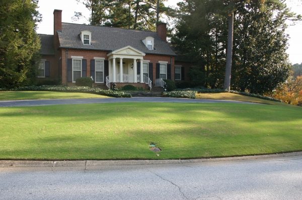 tips for a shady lawn