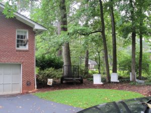 hornet nest 7 | Walter Reeves: The Georgia Gardener hornet nest near hives
