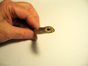 hydrangea borer 2 | Walter Reeves: The Georgia Gardener