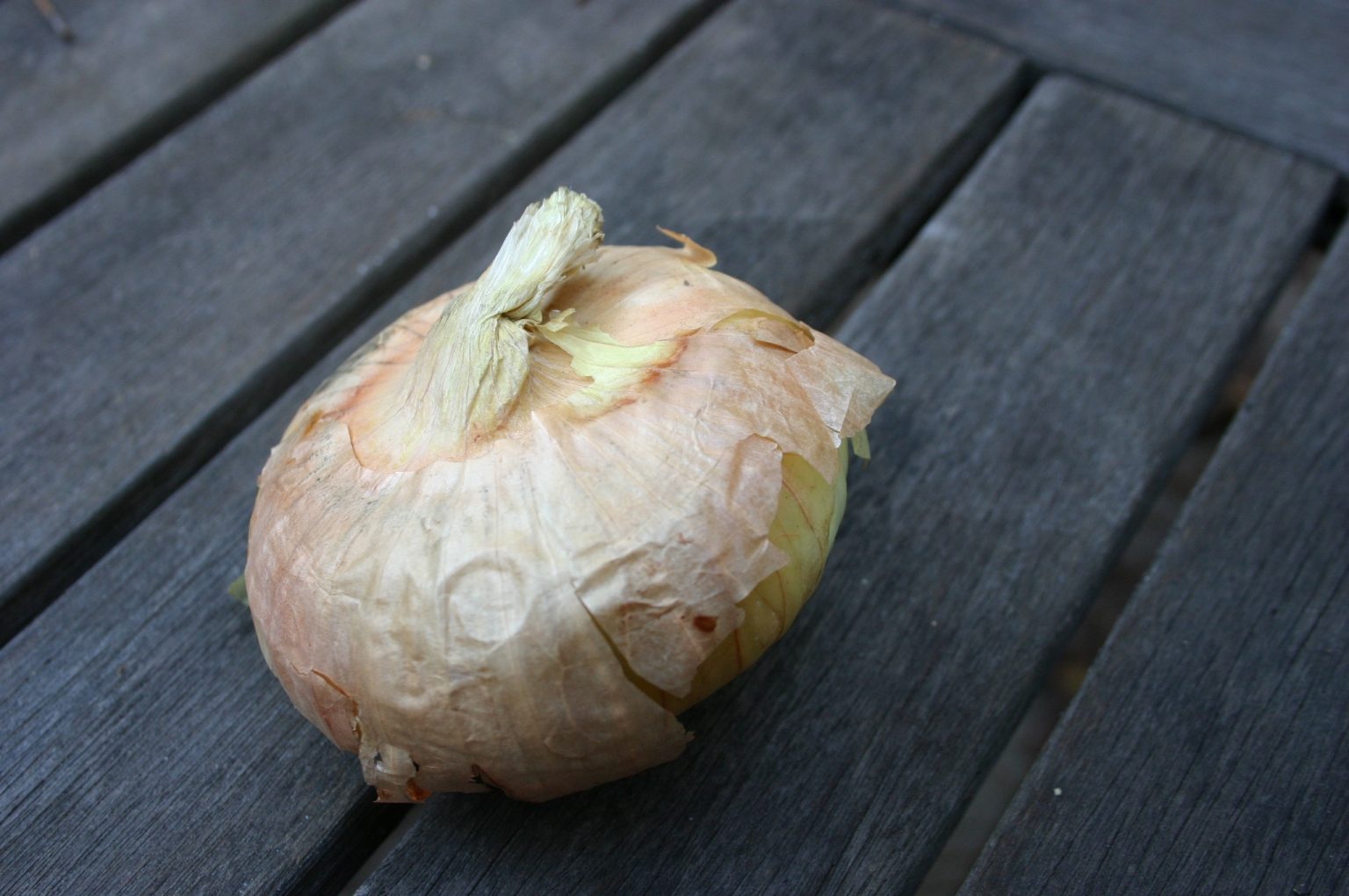 How To Get Rid Of Wild Onions? Walter Reeves The Gardener