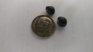pea | Walter Reeves: The Georgia Gardener