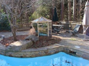 sagogreenhouse3 | Walter Reeves: The Georgia Gardener