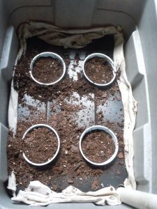 self watering tub 13 | Walter Reeves: The Georgia Gardener now fill each cup with potting soil